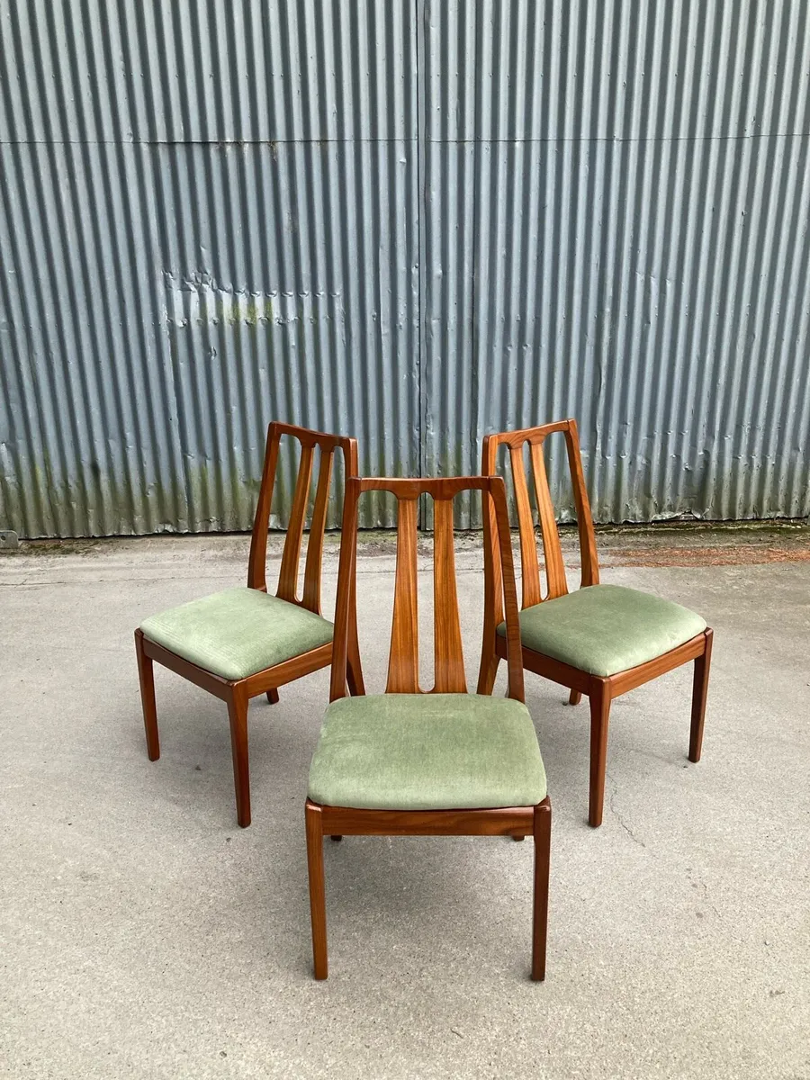 Nathan Dining Chairs - Warehouse Open Sat 25th Oct - Image 3