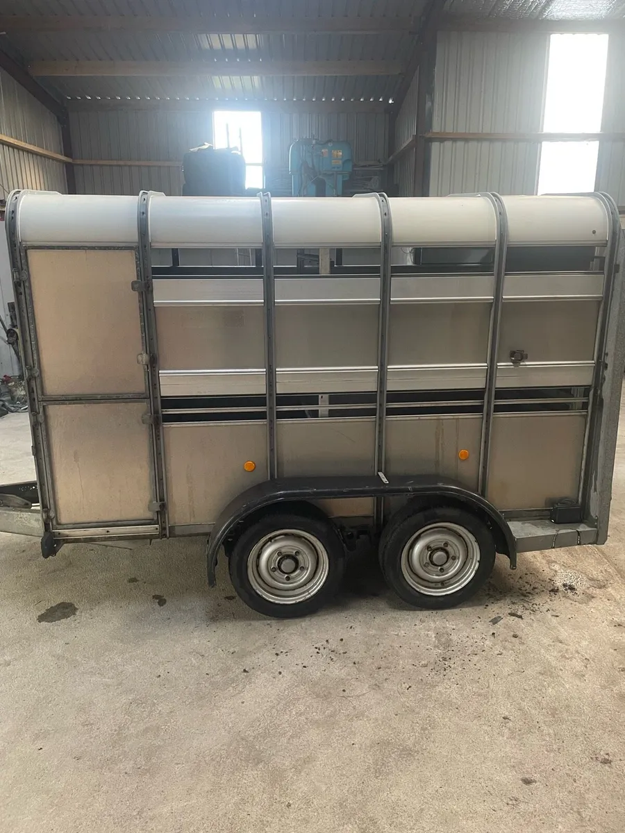 Ifor Williams 10x5 - Image 3