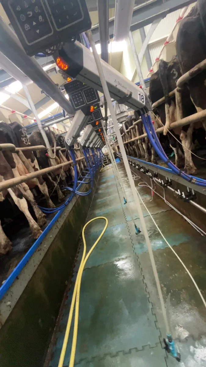 Looking for milkings or farm work - Image 1
