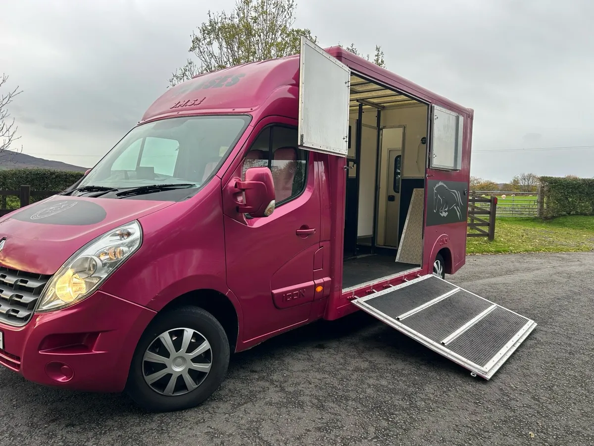 142 Stallion, horse box 3.5Ton DOE TIL 07/26 - Image 1
