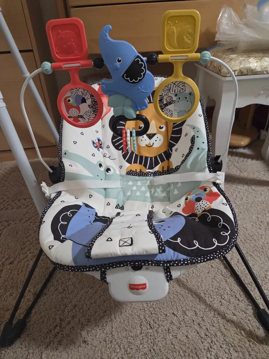 Fisher-Price Bouncer - Image 1