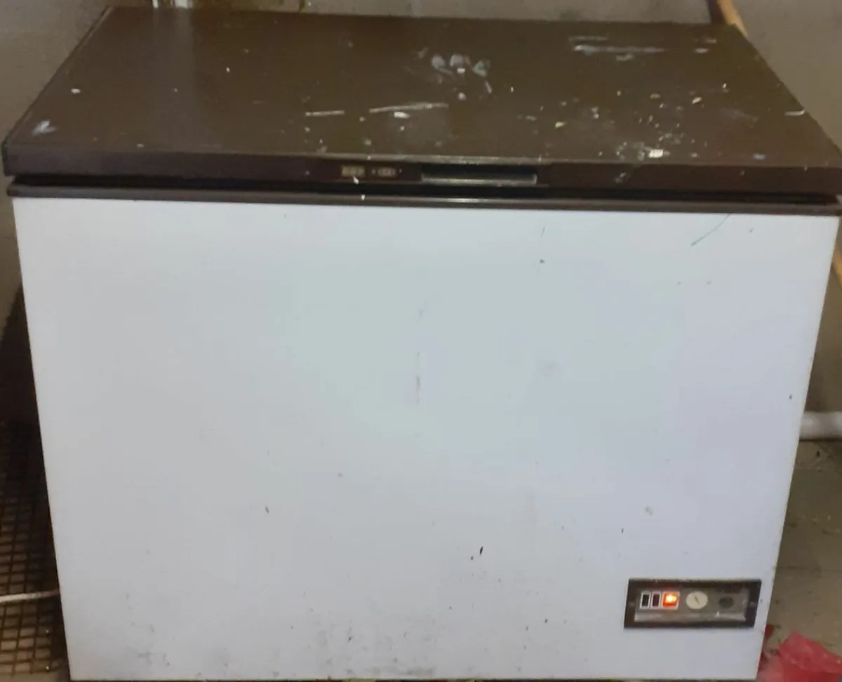 Chest Freezer