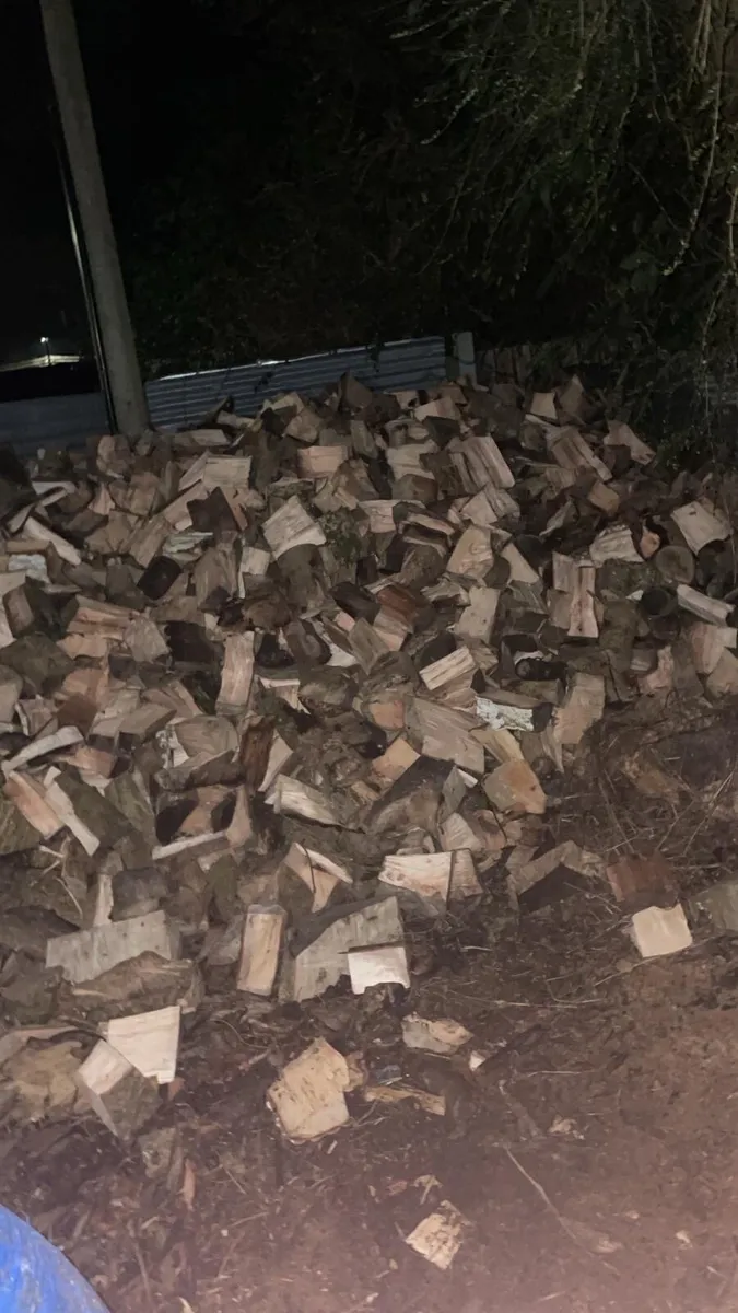 Fire wood and more - Image 1