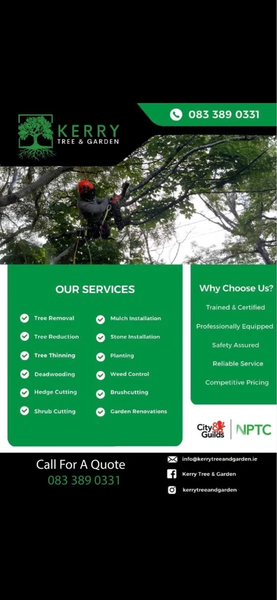 Tree Service - Image 1