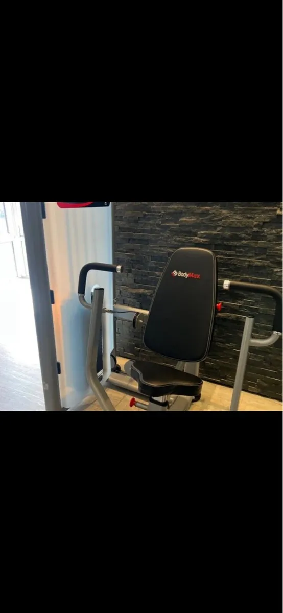 Chest Press - Image 2