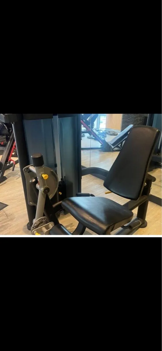 Seated Leg Extension