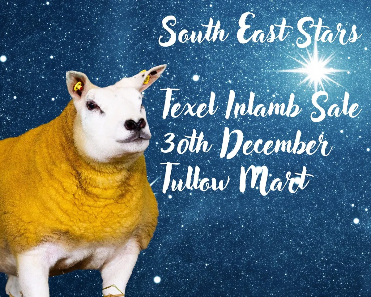 South East Stars