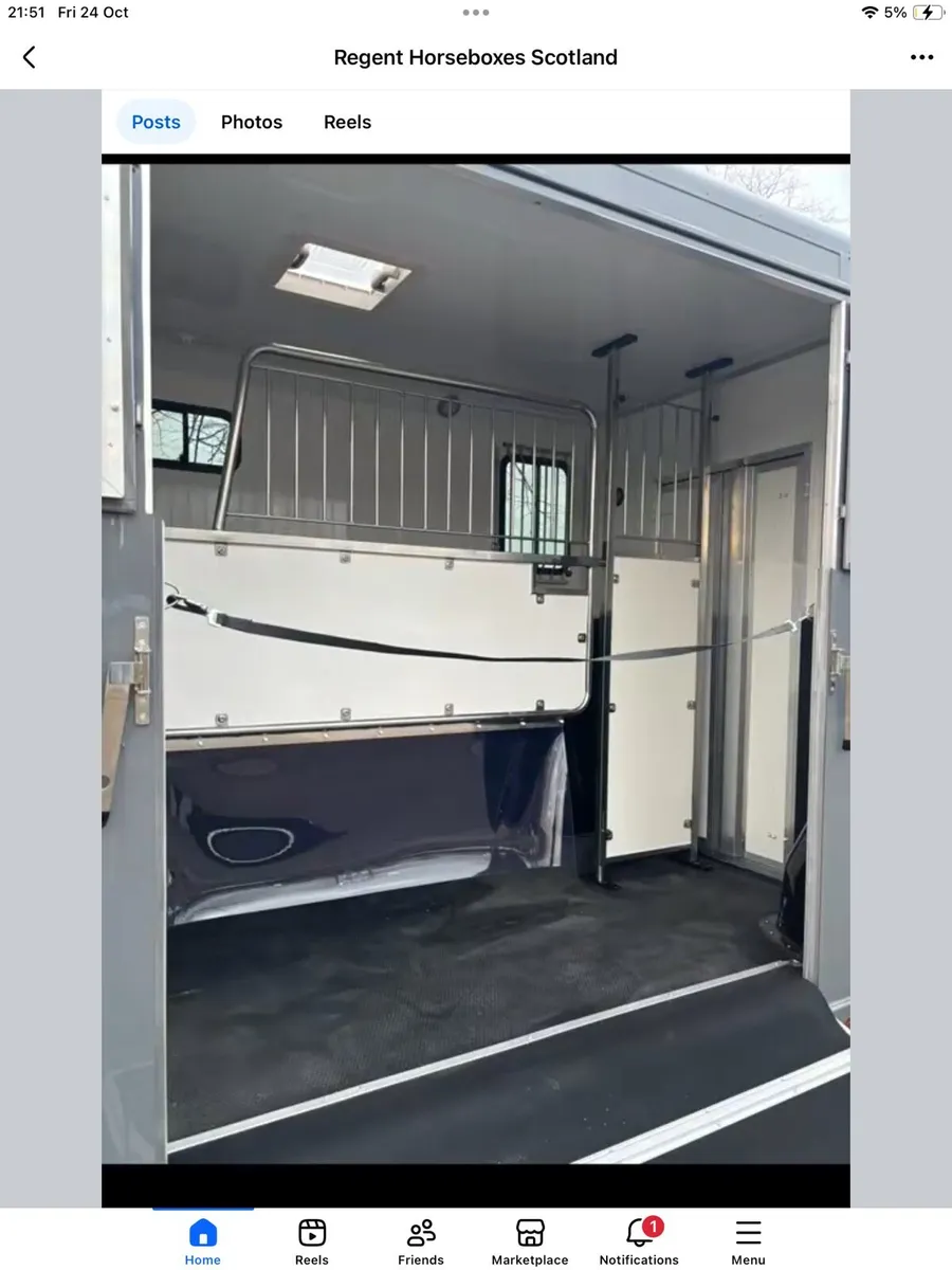 NEW BUILD REGENT 2 STALL HORSEBOX 3500 kgs GVW - Image 4