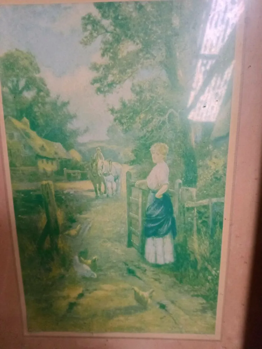 Old framed prints .. - Image 1