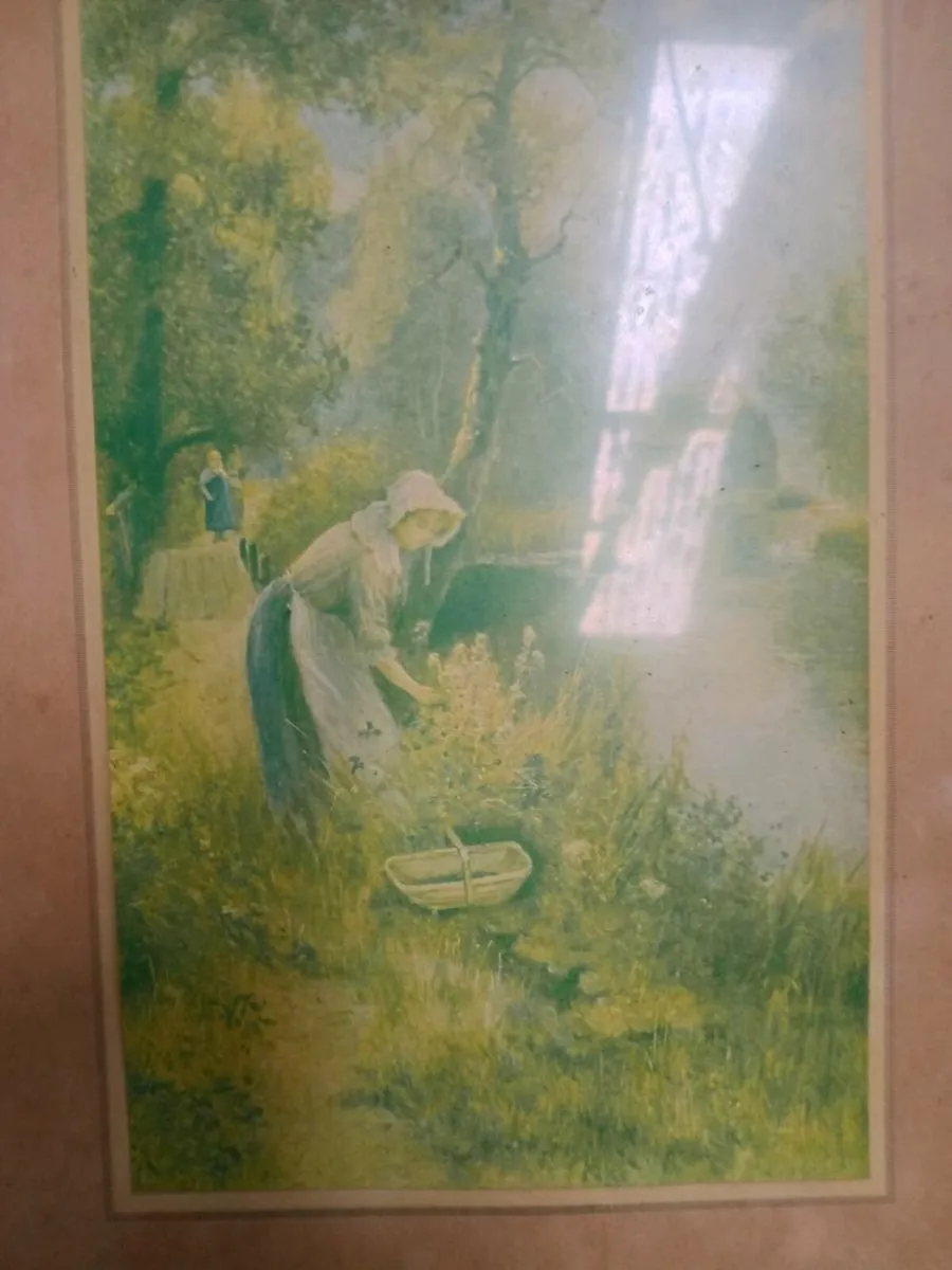 Old framed prints .. - Image 4