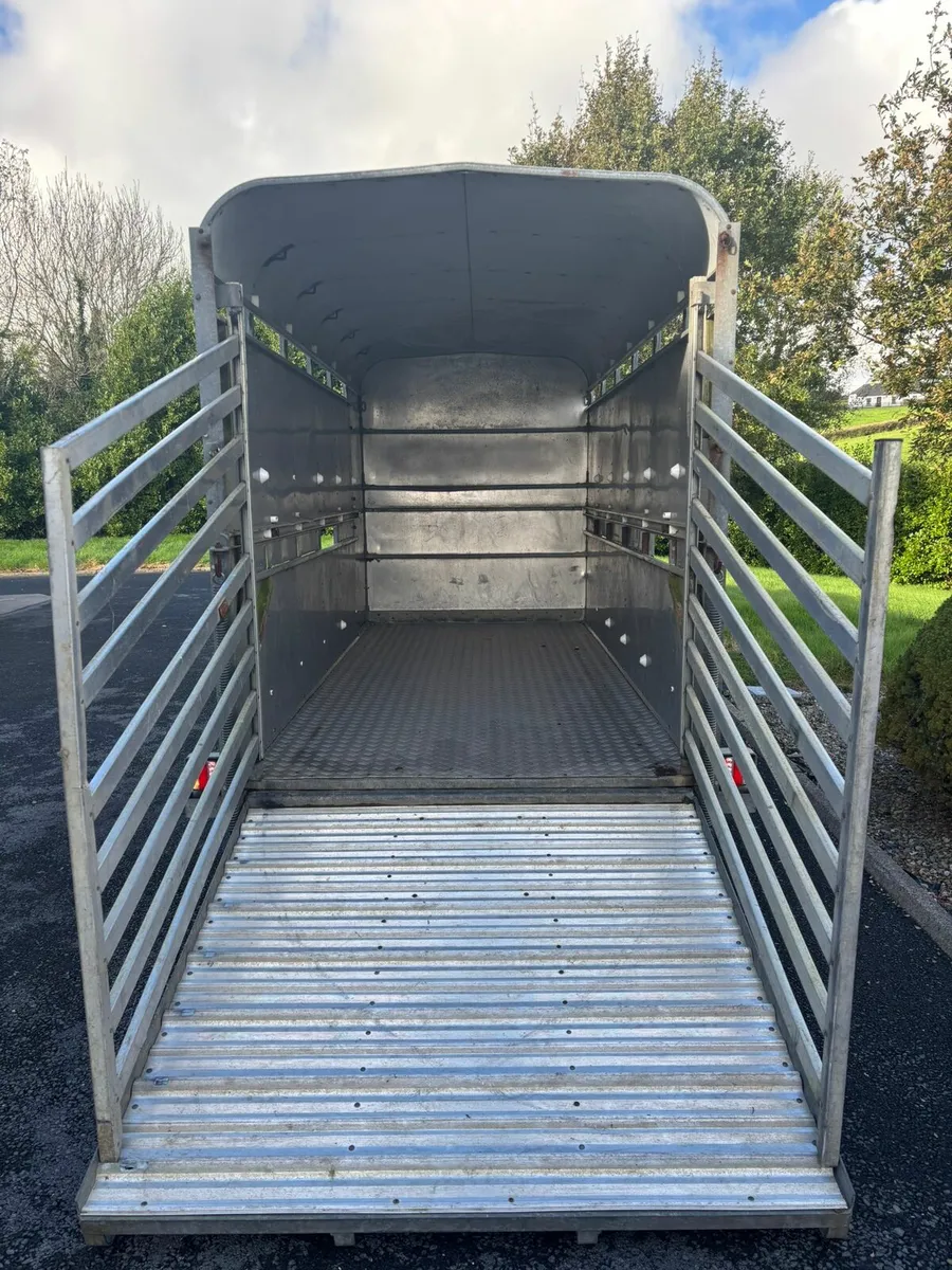 Ifor Williams 12x6 cattle box - Image 3