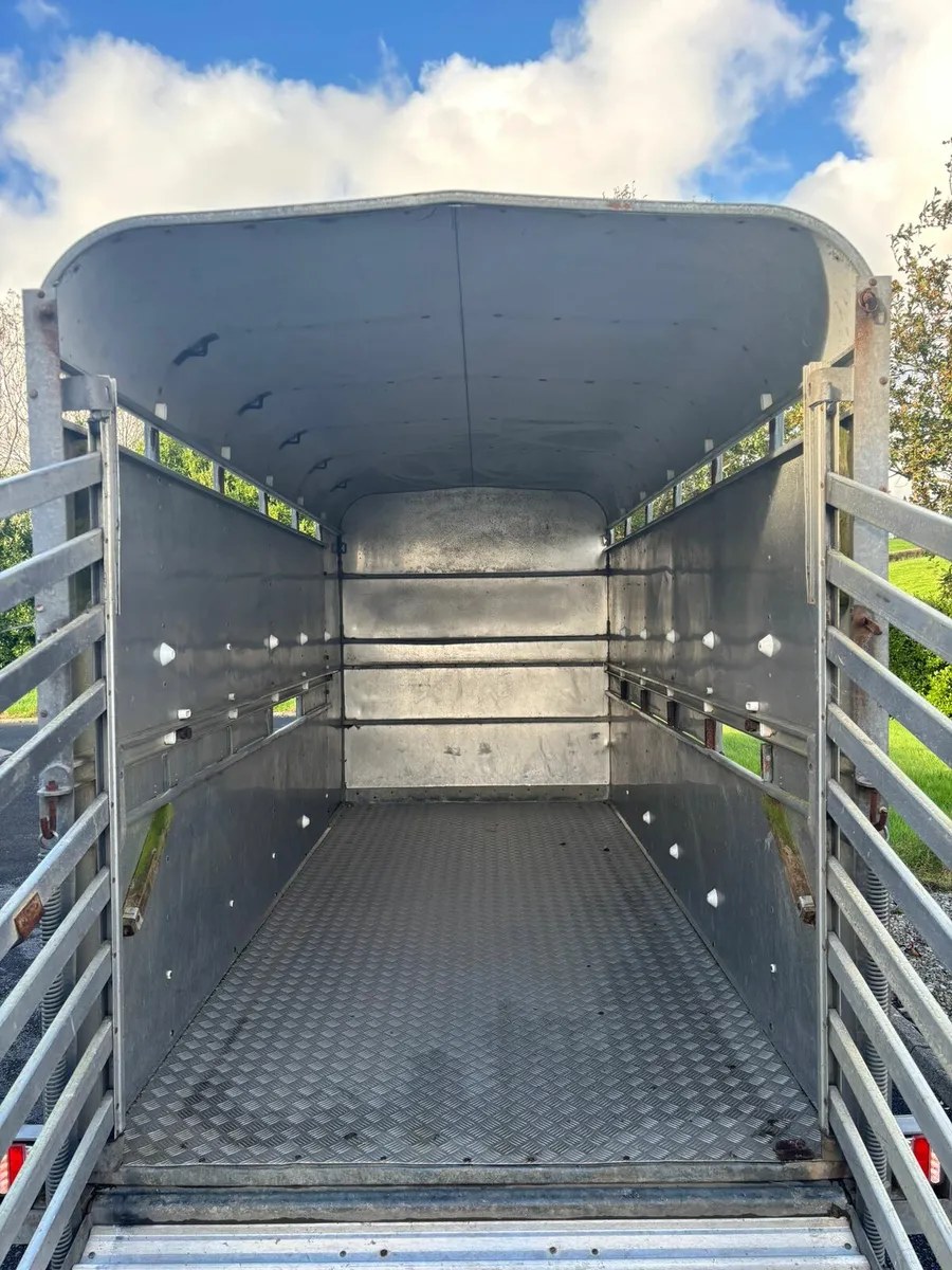 Ifor Williams 12x6 cattle box - Image 4