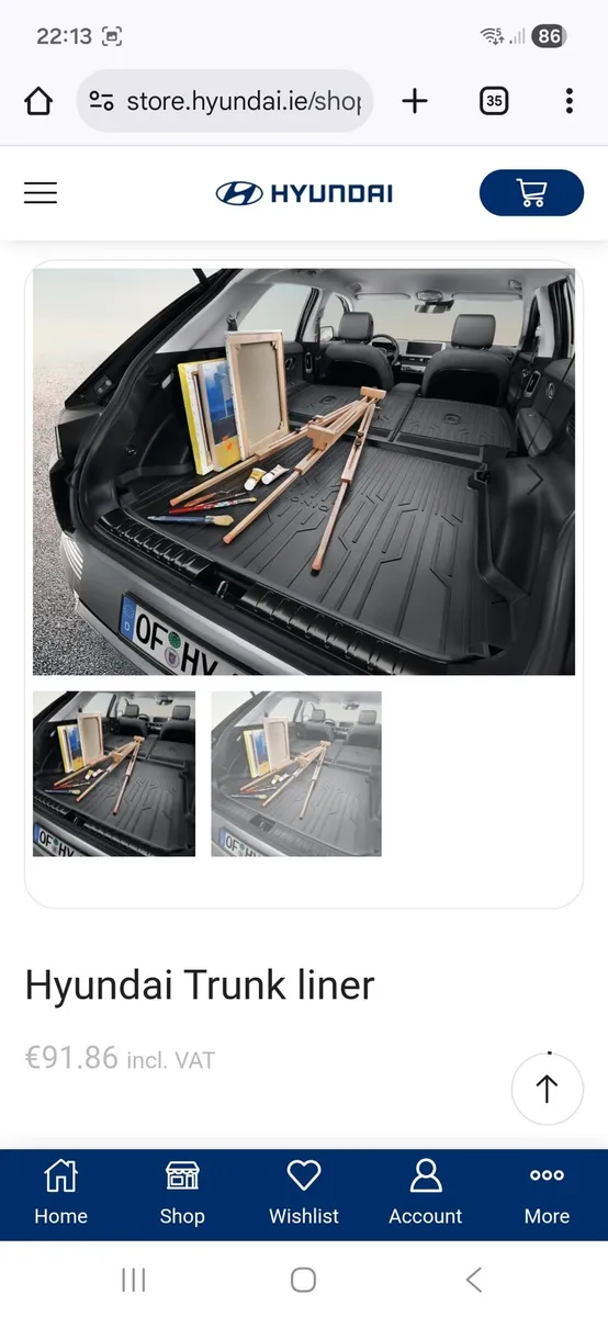 Hyundai ioniq 5  boot mat,mudflaps, paint - Image 1