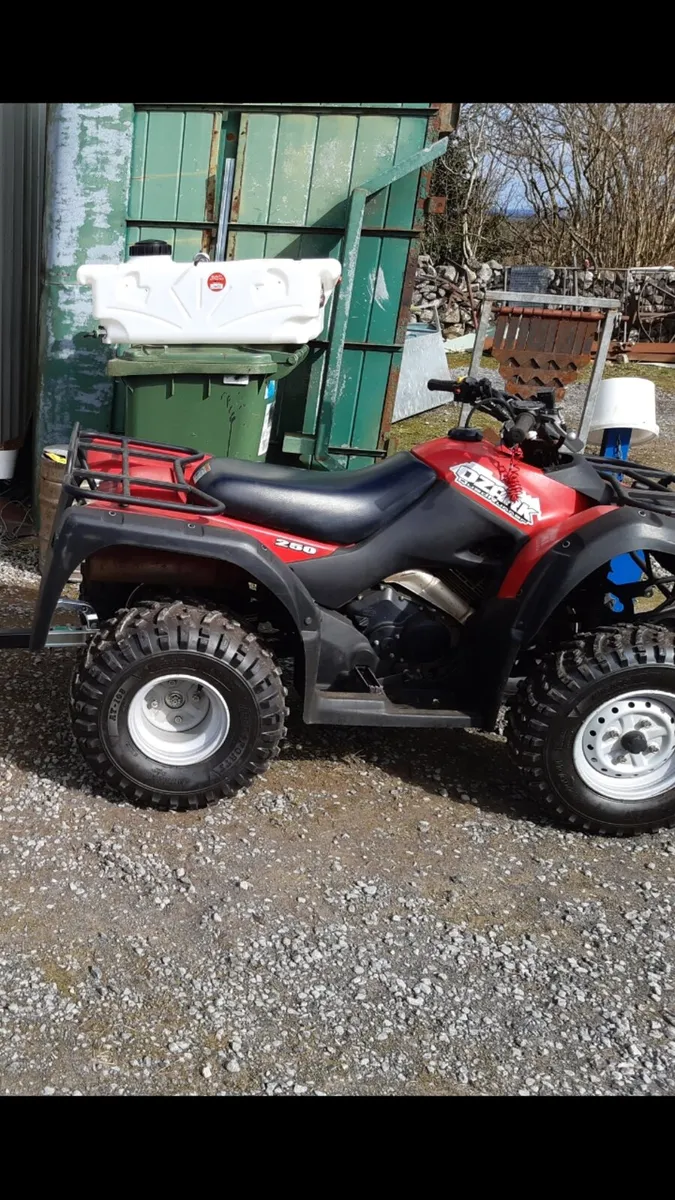 Suzuki Ozark 250 - Image 1