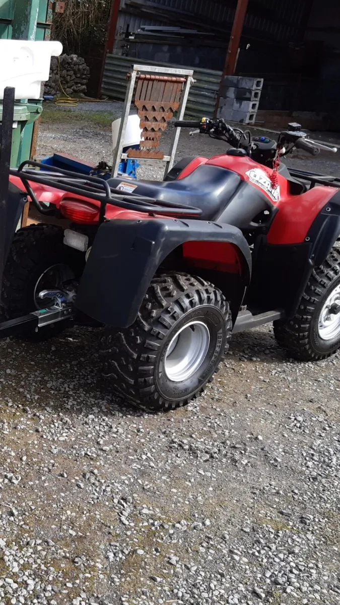 Suzuki Ozark 250 - Image 2