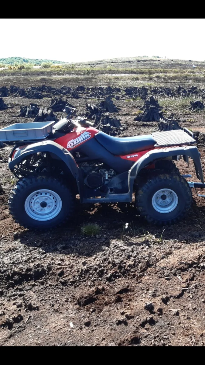 Suzuki Ozark 250 - Image 3
