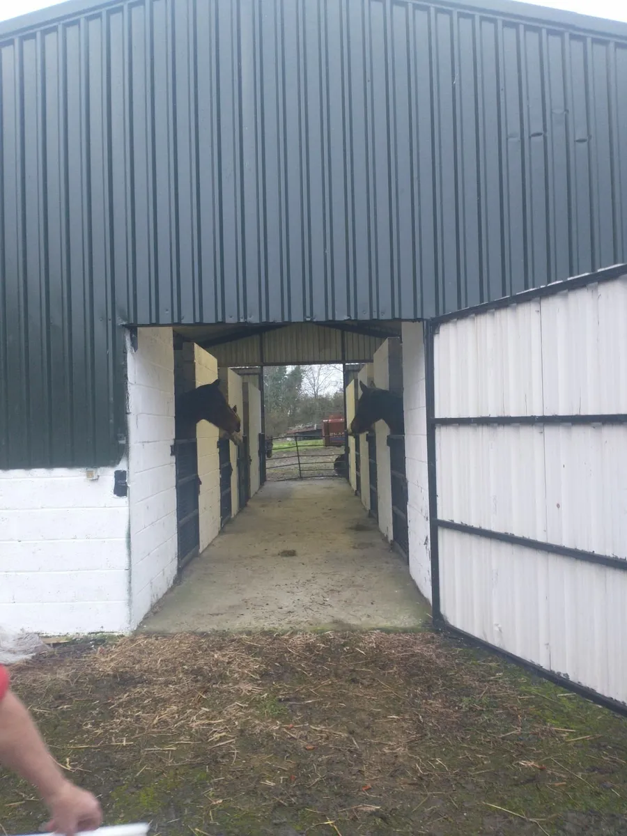 Stables / racing yard for rent - Image 1