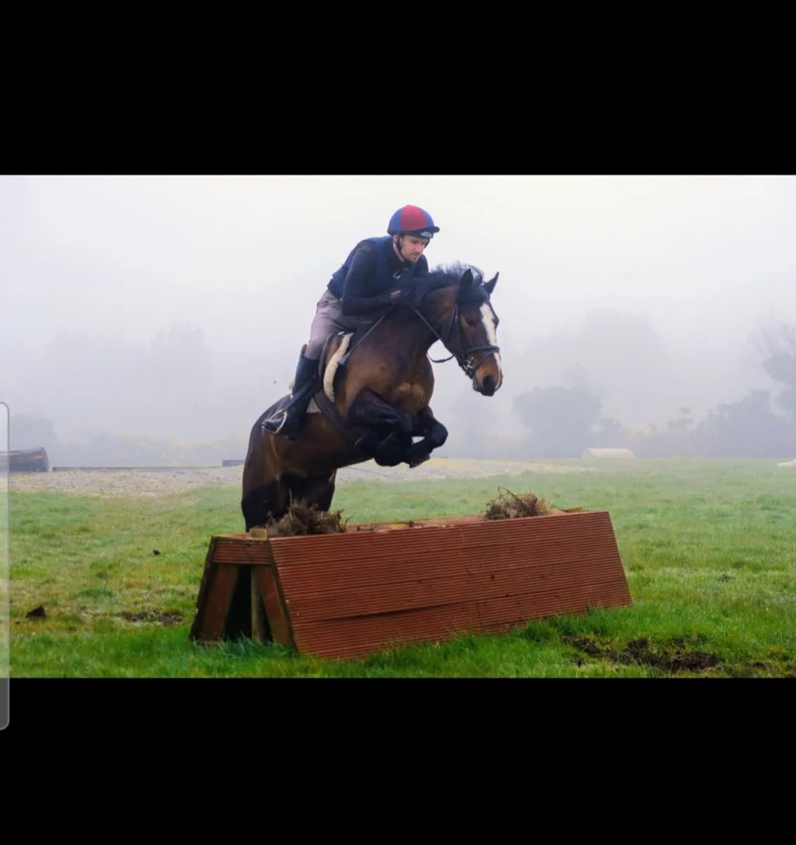 Breaking and schooling - Image 3