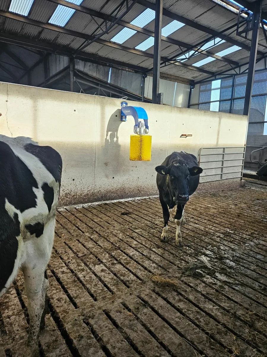 Delaval Cow Brushes - Image 3