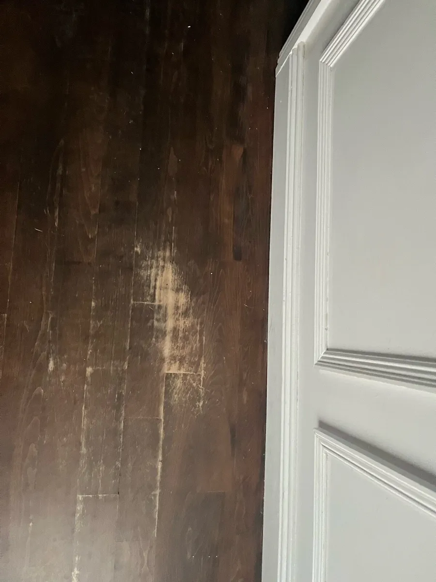 Solid Beech Wood Flooring - 83msq - 18mm thick - Image 3