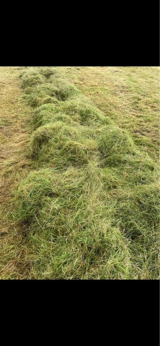 **Silage Delivered ** - Image 2