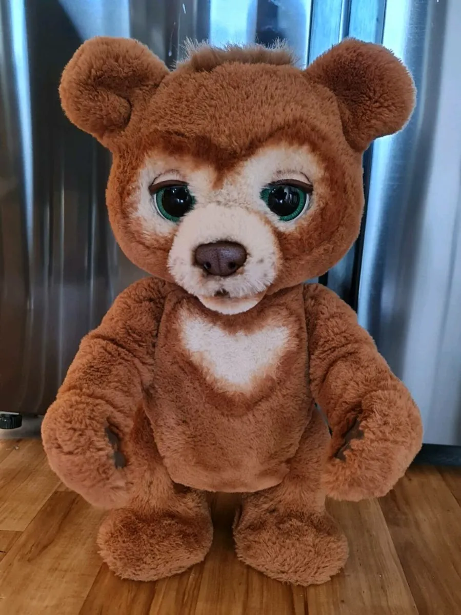 Teddy Bear Cub - Image 1