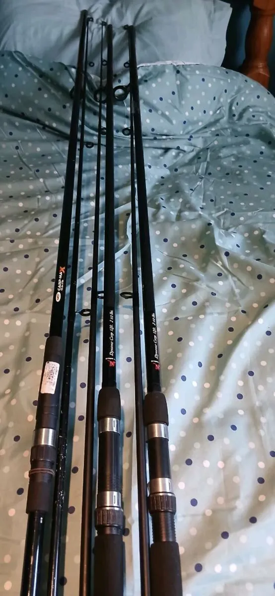 3 dead bait rods - Image 2