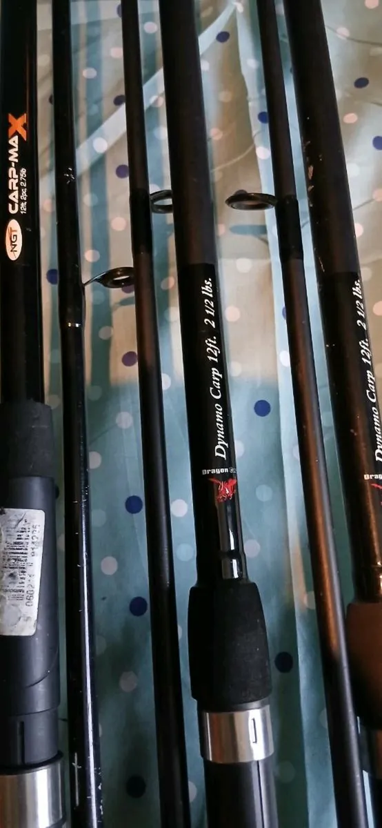 3 dead bait rods - Image 3