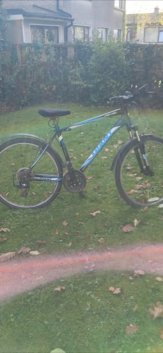 Bike - Image 1