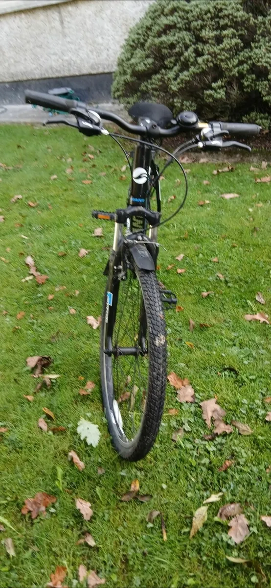 Bike - Image 2