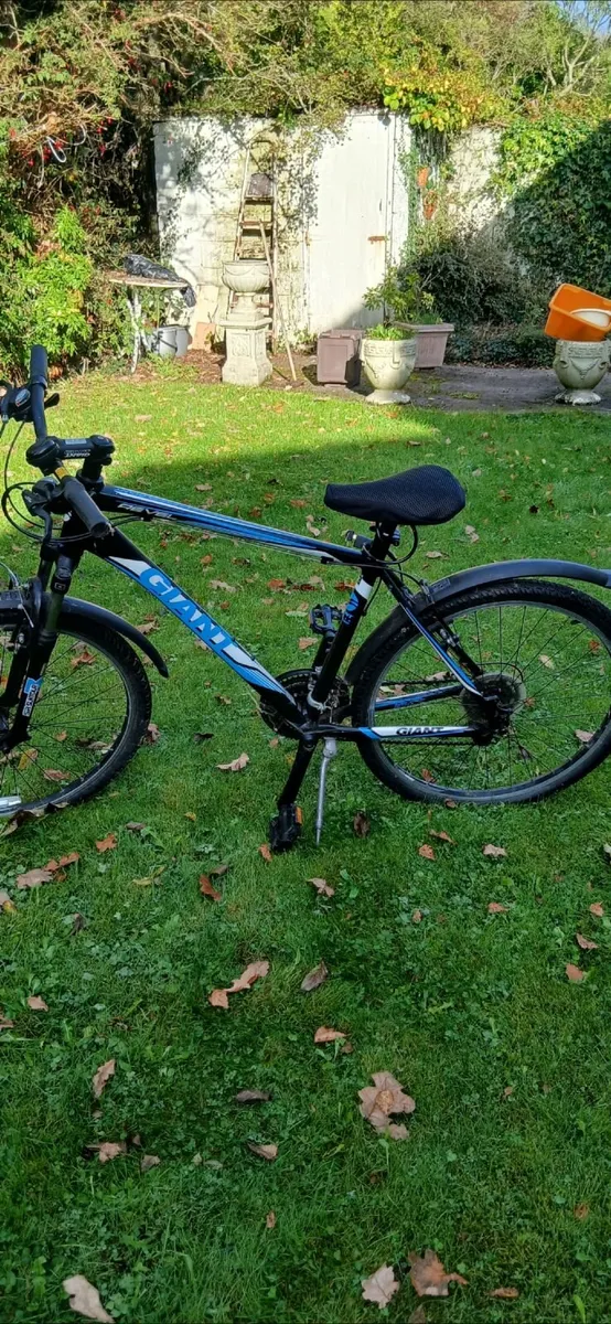 Bike - Image 3