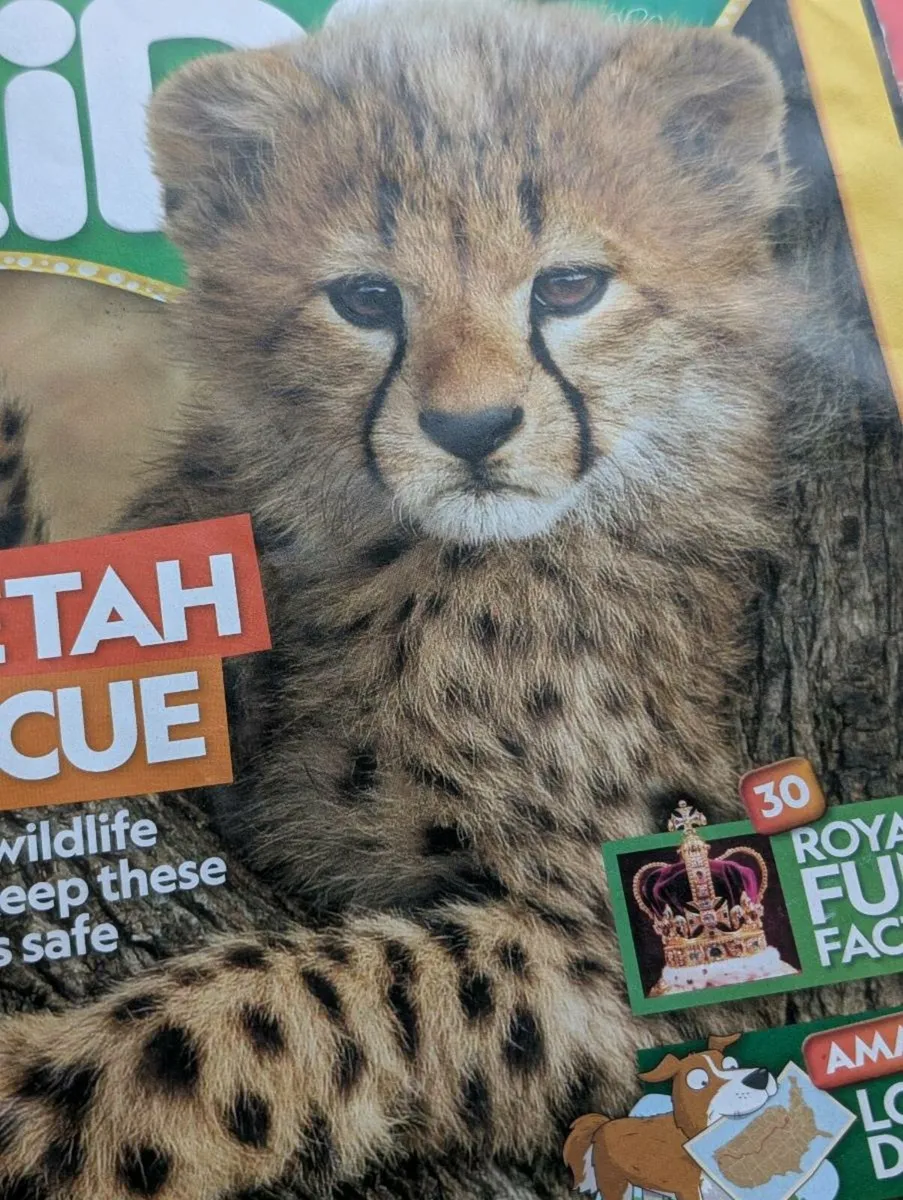 National Geographic Kids Magazines - Image 3