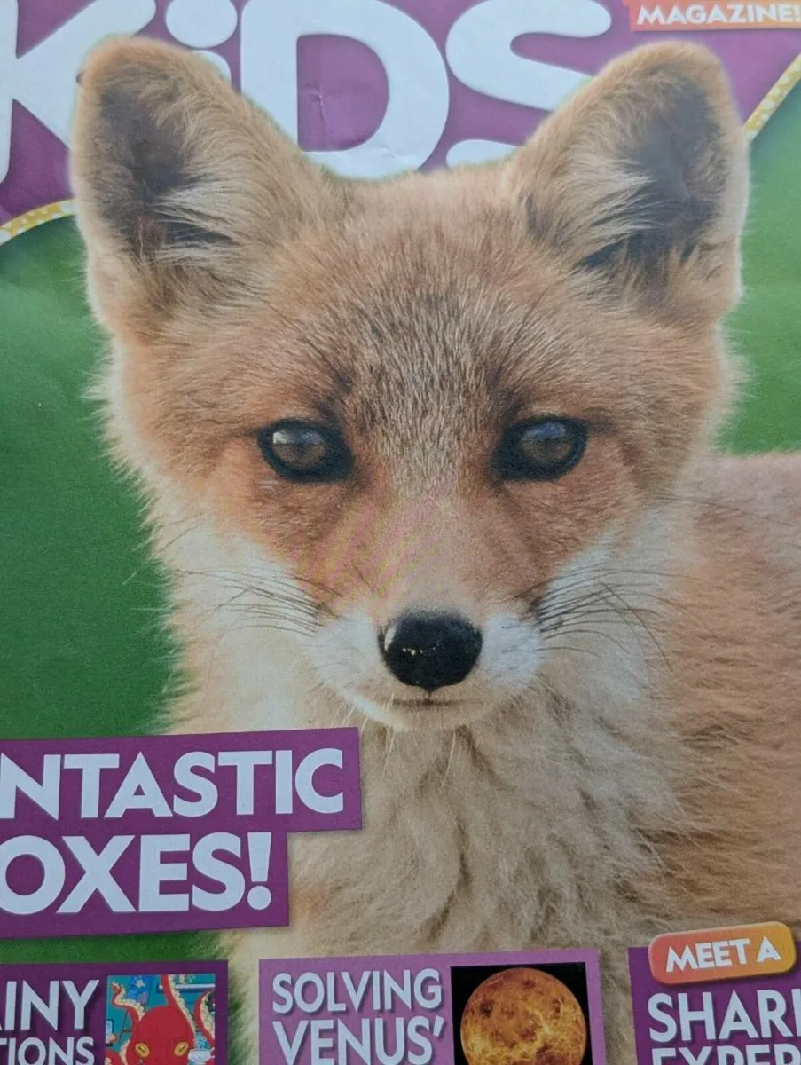 National Geographic Kids Magazines - Image 4