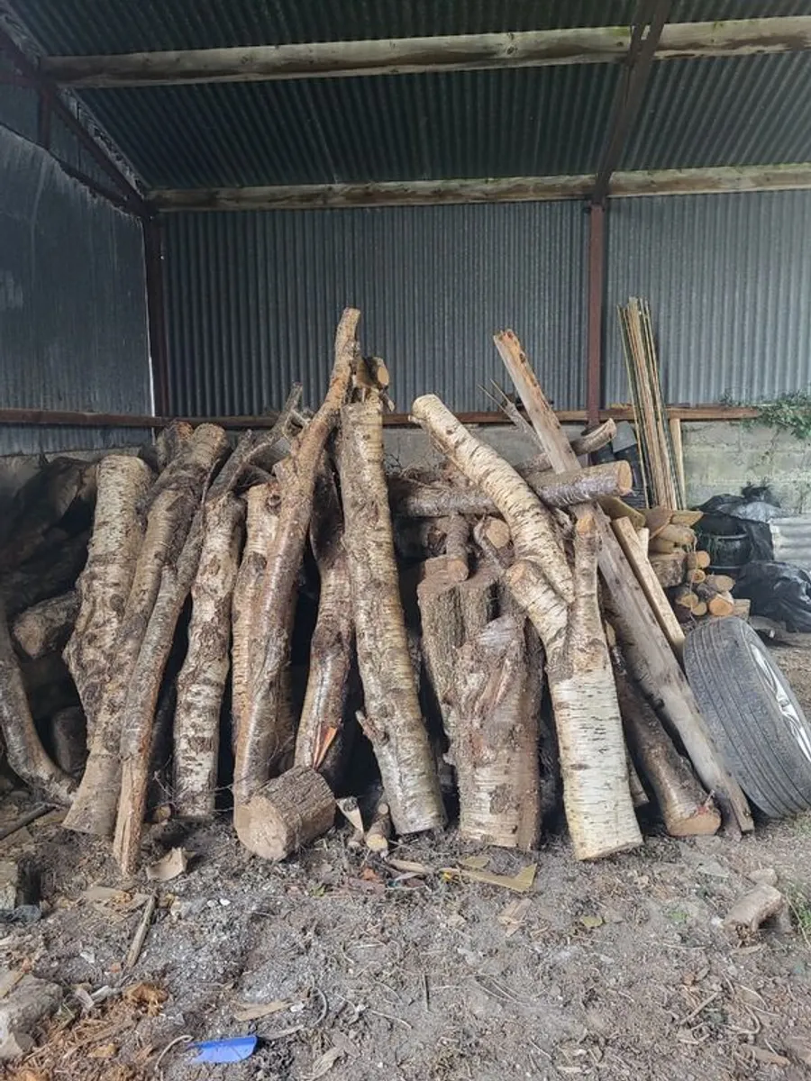 Firewood - Image 2