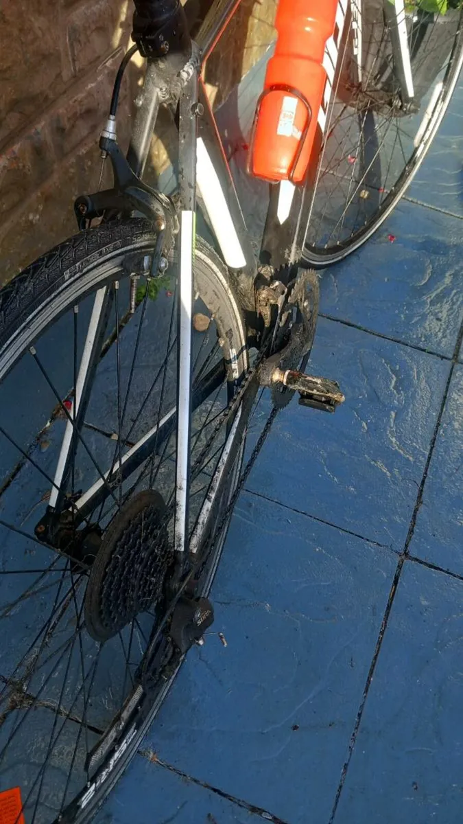 Giant road bike - Image 2