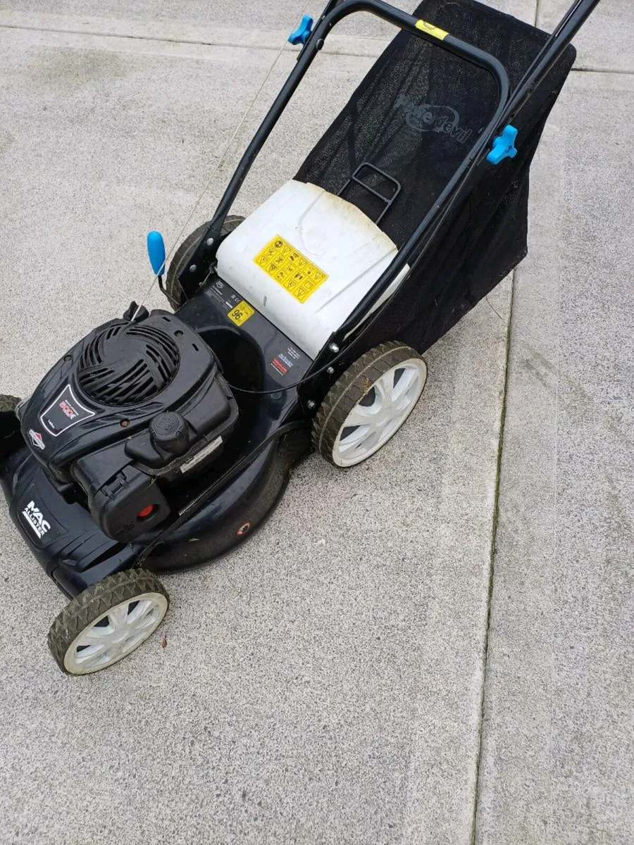 Lawnmower and strimmer - Image 1