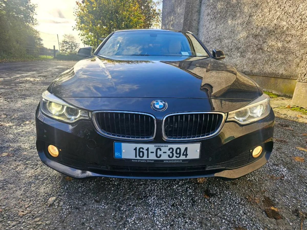 2016 BMW 420D SE Manual - Image 2