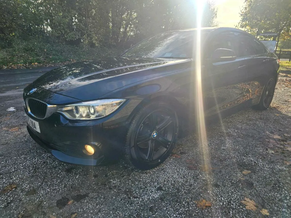 2016 BMW 420D SE Manual - Image 3