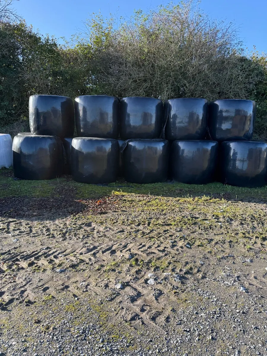 Silage - Image 1