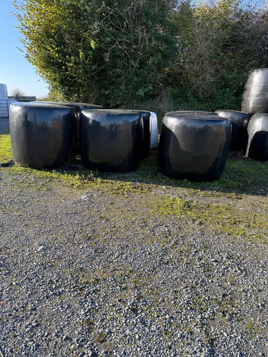 Silage - Image 3