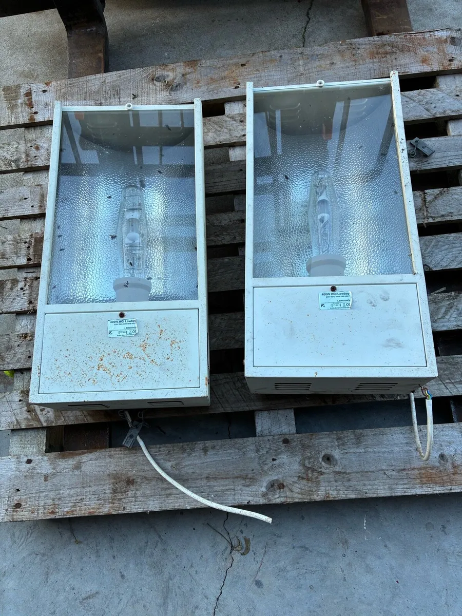 Lights - Image 1