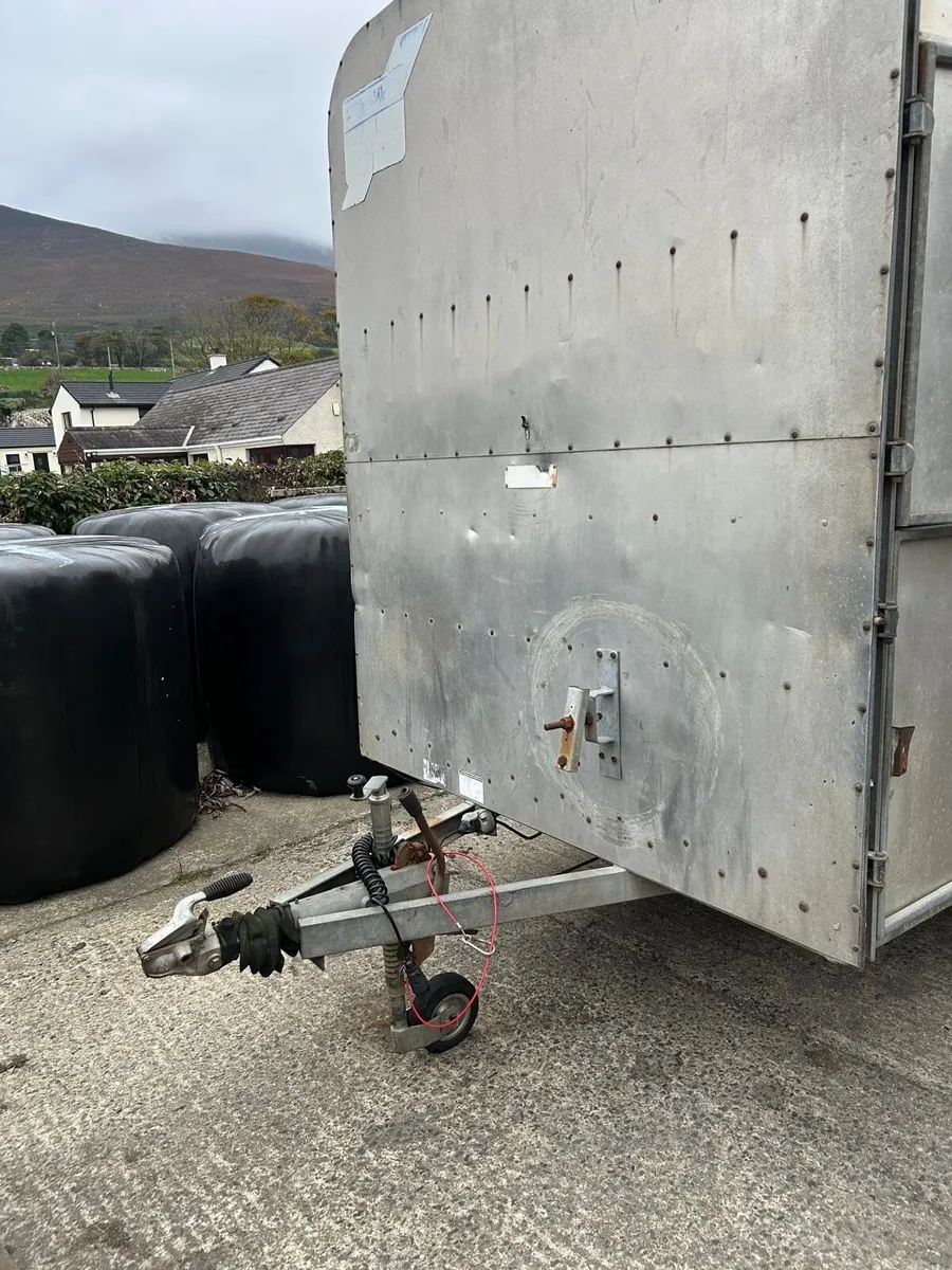 Cattle Trailer - Image 3