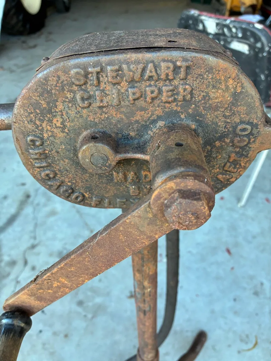 Sheep Shears (Vintage) - Image 2