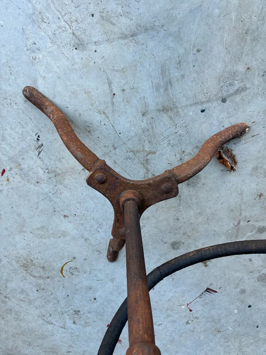 Sheep Shears (Vintage) - Image 4