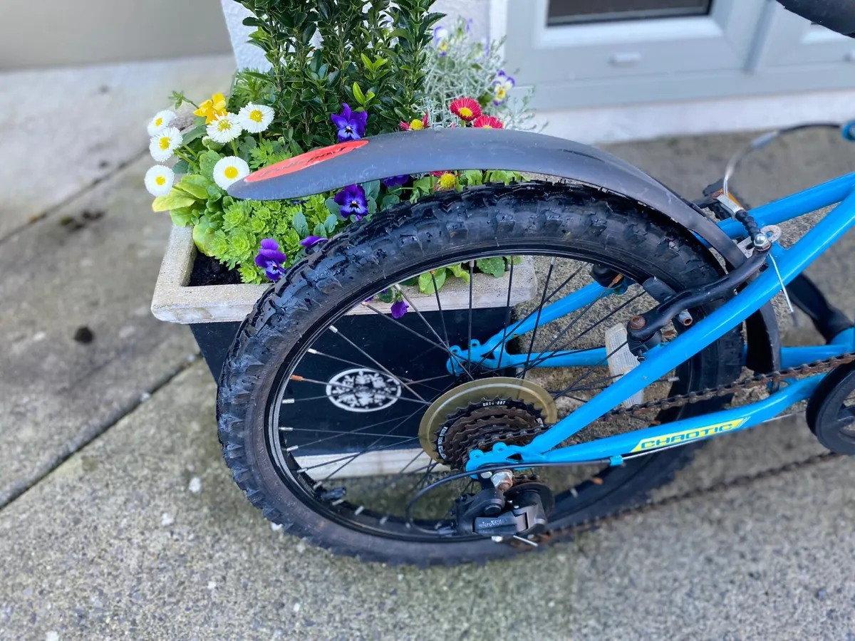 Bike - Image 3