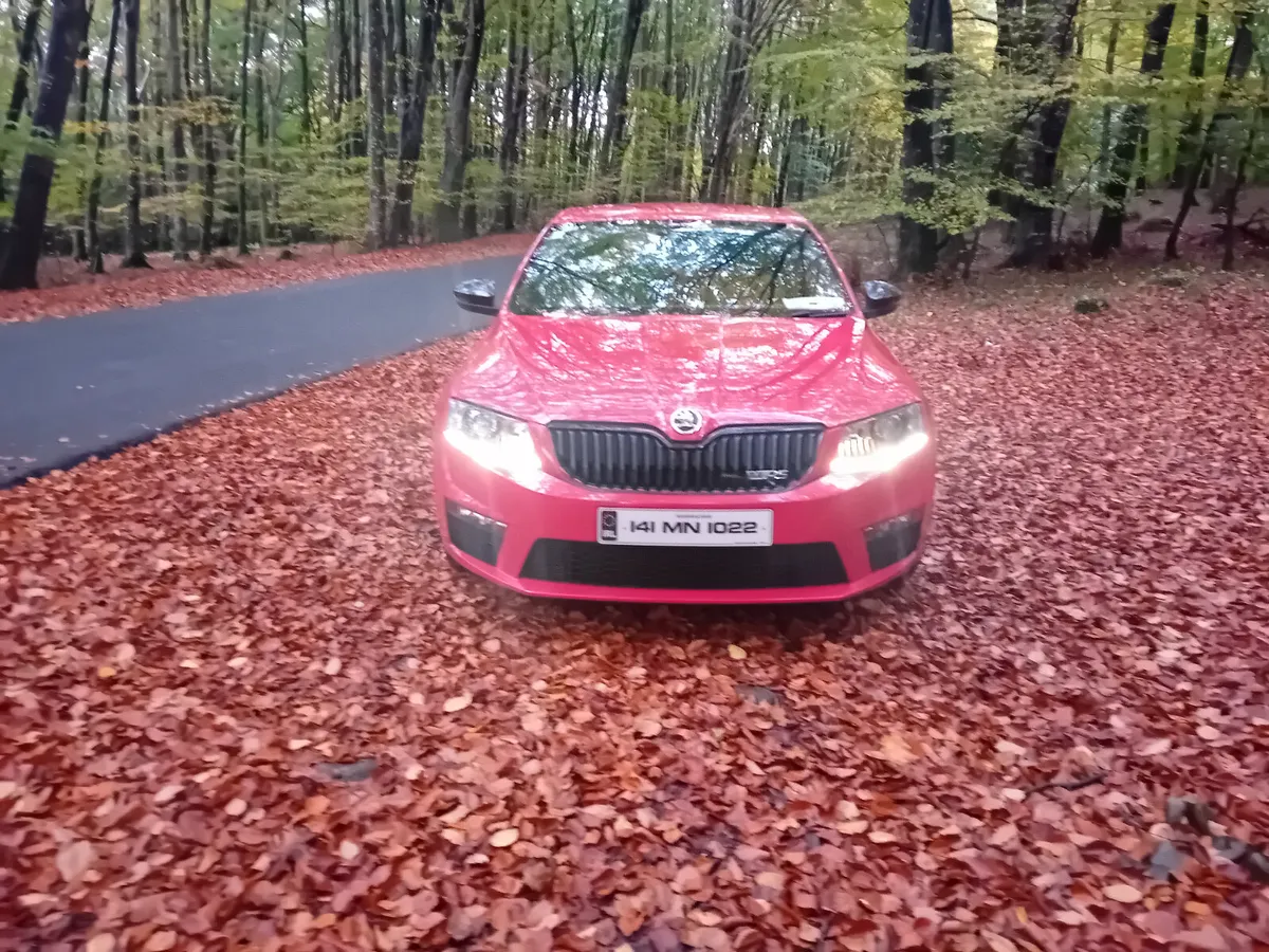 141 SKODA OCTAVIA VRS, 2.0 TDI 184 BHP 6 SPEED - Image 2