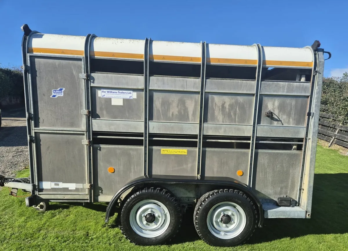 Ifor Williams  10 x 6  cattle/sheep  trailer - Image 4