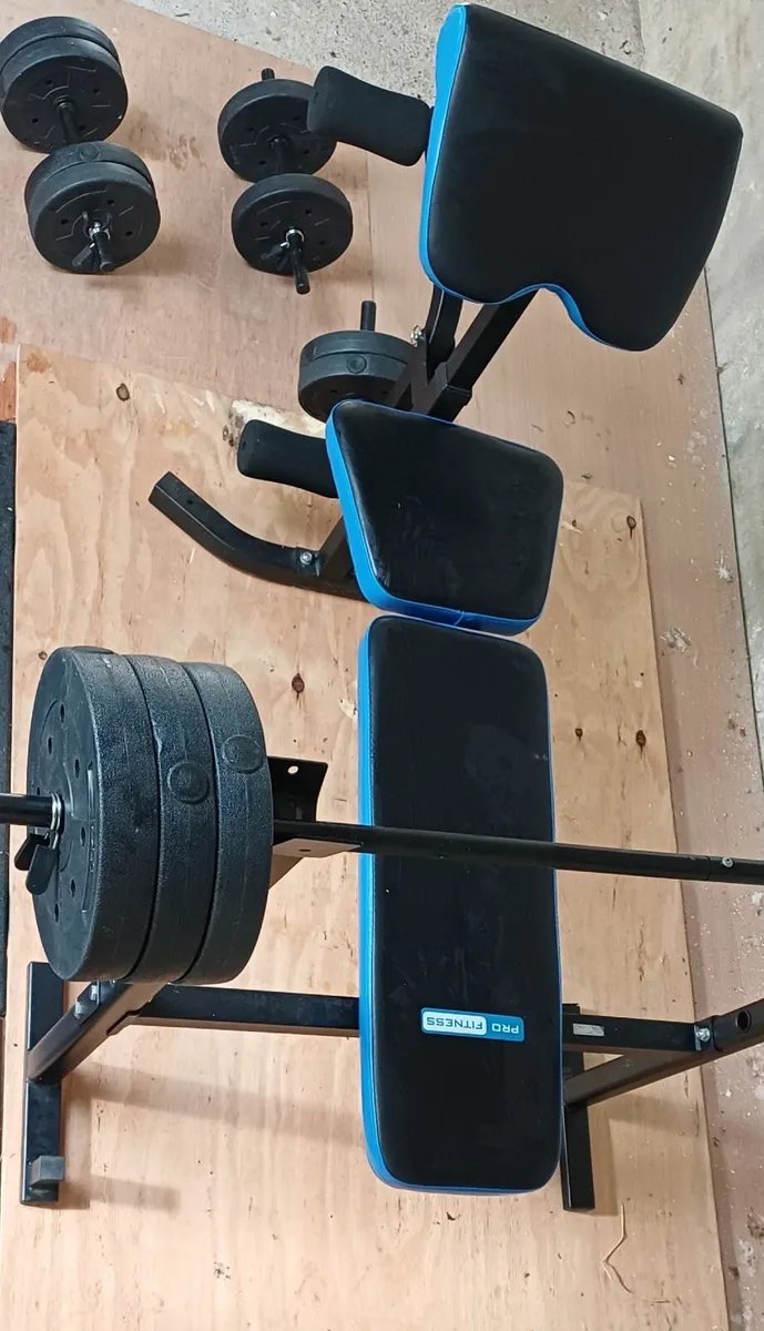 Weights Bench - Image 1