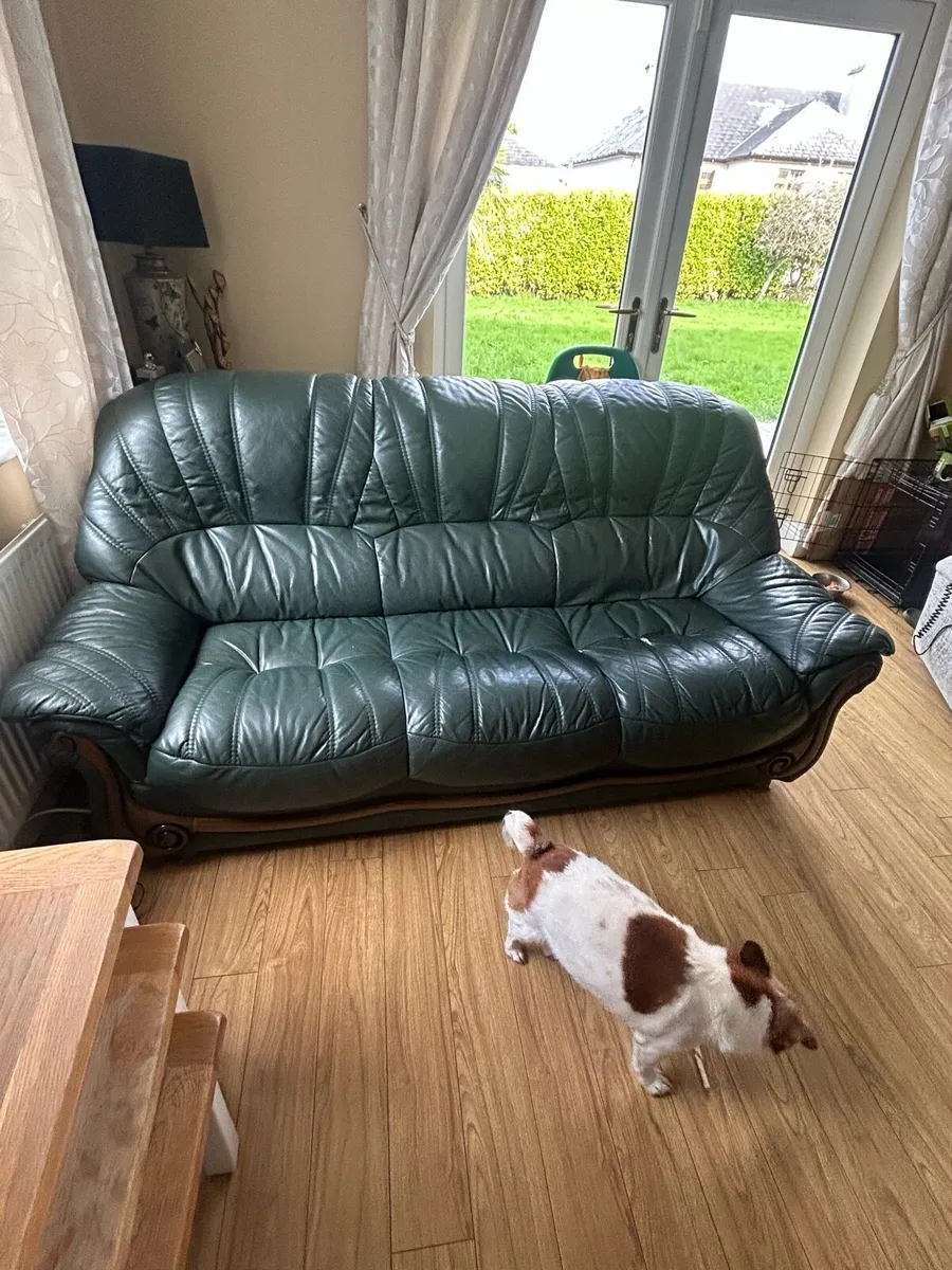 3+1+1 seater couch - Image 3