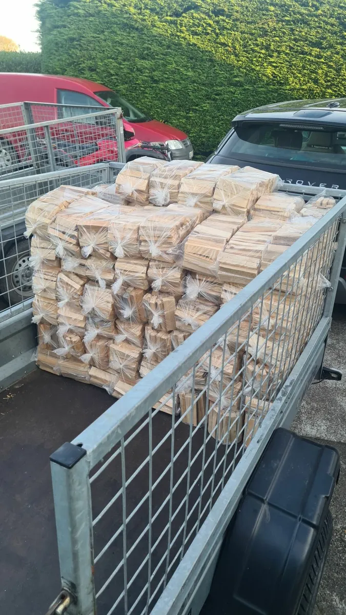 100 bags of kindling firewood €2.50 - Image 2